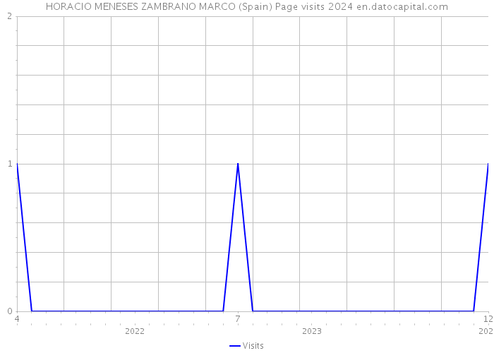 HORACIO MENESES ZAMBRANO MARCO (Spain) Page visits 2024 