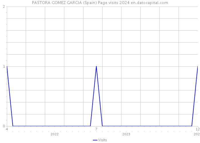 PASTORA GOMEZ GARCIA (Spain) Page visits 2024 