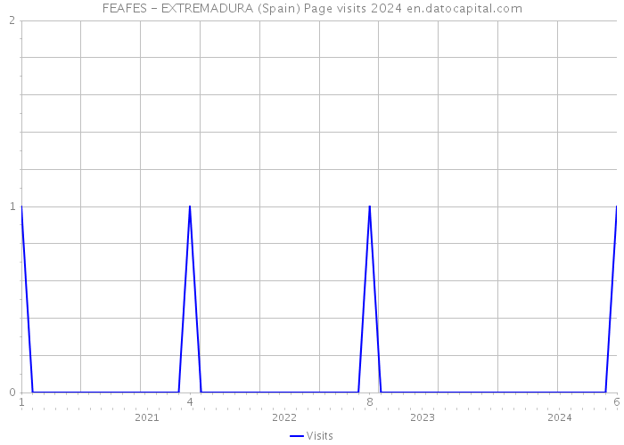 FEAFES - EXTREMADURA (Spain) Page visits 2024 
