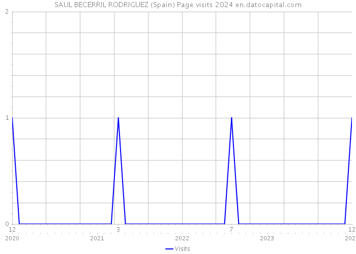 SAUL BECERRIL RODRIGUEZ (Spain) Page visits 2024 