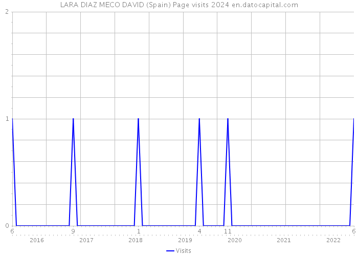 LARA DIAZ MECO DAVID (Spain) Page visits 2024 