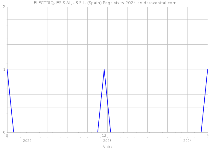 ELECTRIQUES S ALJUB S.L. (Spain) Page visits 2024 