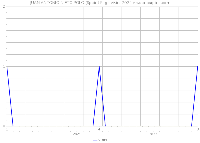 JUAN ANTONIO NIETO POLO (Spain) Page visits 2024 