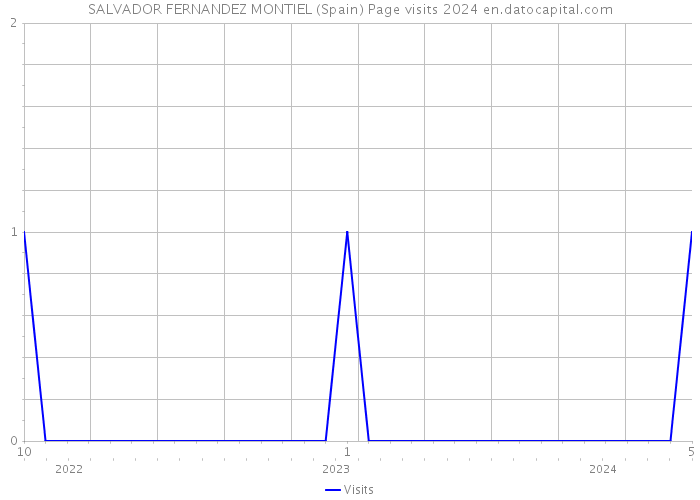 SALVADOR FERNANDEZ MONTIEL (Spain) Page visits 2024 