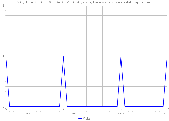 NAQUERA KEBAB SOCIEDAD LIMITADA (Spain) Page visits 2024 