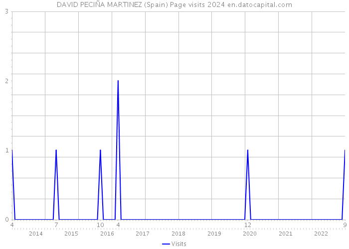 DAVID PECIÑA MARTINEZ (Spain) Page visits 2024 