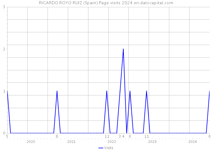 RICARDO ROYO RUIZ (Spain) Page visits 2024 