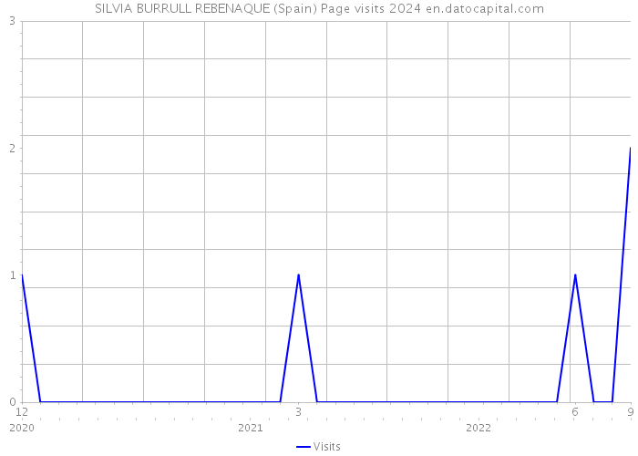SILVIA BURRULL REBENAQUE (Spain) Page visits 2024 