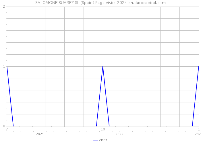SALOMONE SUAREZ SL (Spain) Page visits 2024 