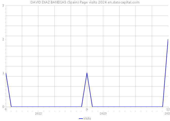 DAVID DIAZ BANEGAS (Spain) Page visits 2024 