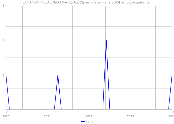 FERNANDO VILLALOBOS MARQUEZ (Spain) Page visits 2024 