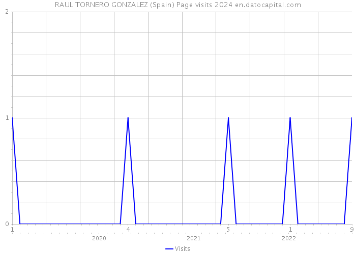 RAUL TORNERO GONZALEZ (Spain) Page visits 2024 