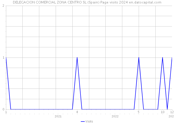 DELEGACION COMERCIAL ZONA CENTRO SL (Spain) Page visits 2024 