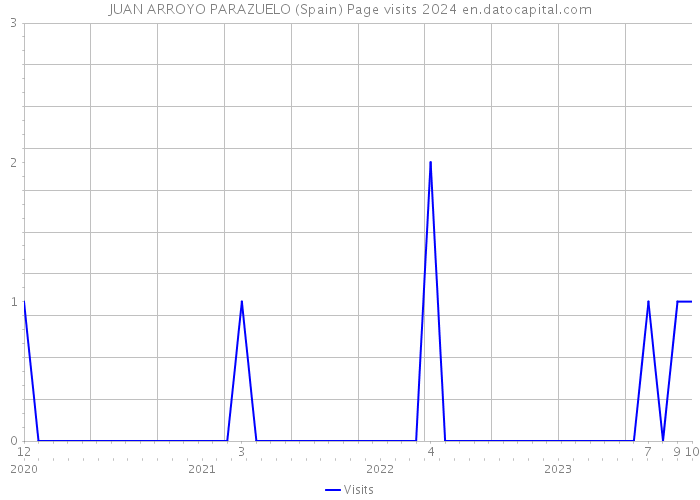 JUAN ARROYO PARAZUELO (Spain) Page visits 2024 