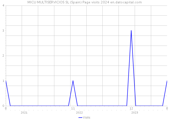 MICU MULTISERVICIOS SL (Spain) Page visits 2024 
