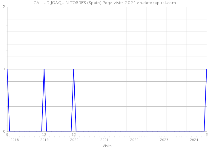 GALLUD JOAQUIN TORRES (Spain) Page visits 2024 