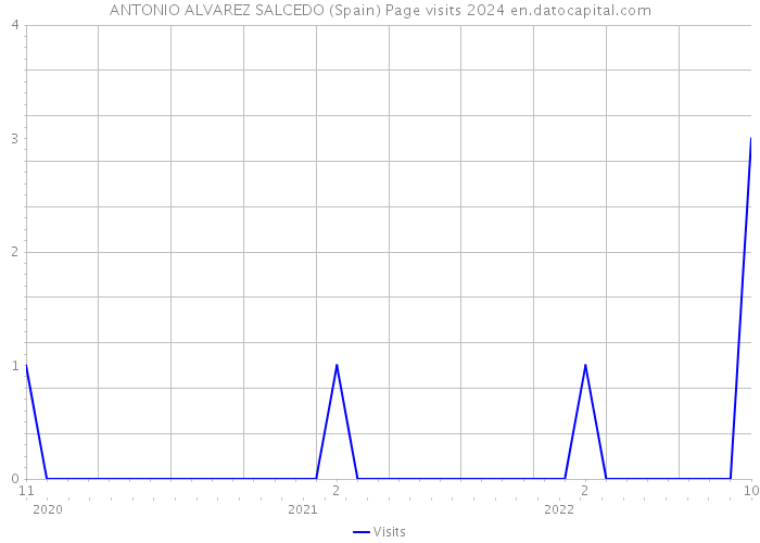 ANTONIO ALVAREZ SALCEDO (Spain) Page visits 2024 