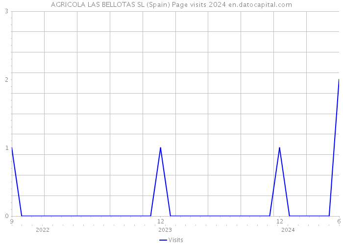 AGRICOLA LAS BELLOTAS SL (Spain) Page visits 2024 