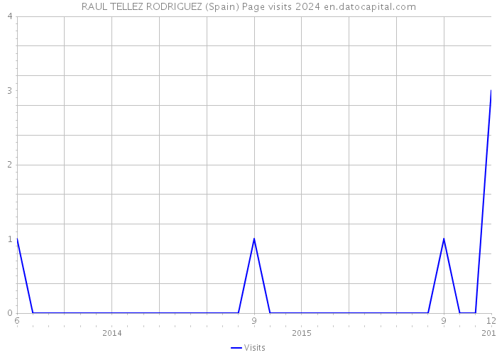 RAUL TELLEZ RODRIGUEZ (Spain) Page visits 2024 