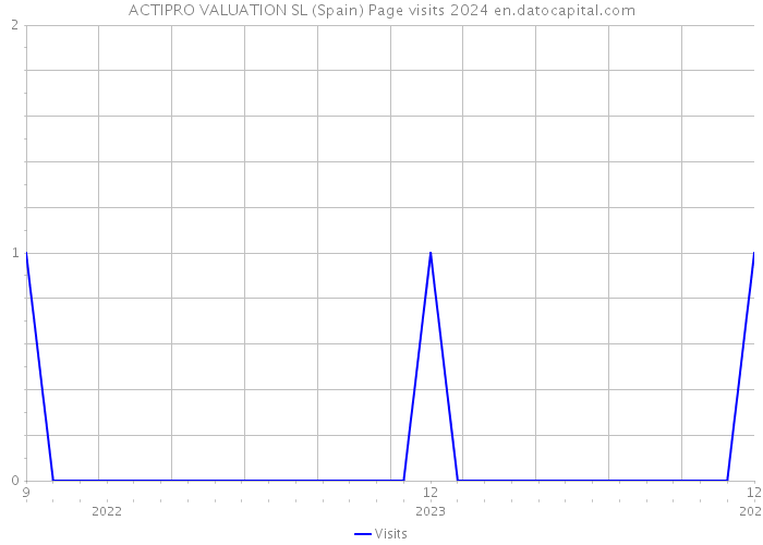 ACTIPRO VALUATION SL (Spain) Page visits 2024 