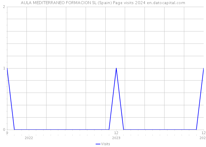 AULA MEDITERRANEO FORMACION SL (Spain) Page visits 2024 