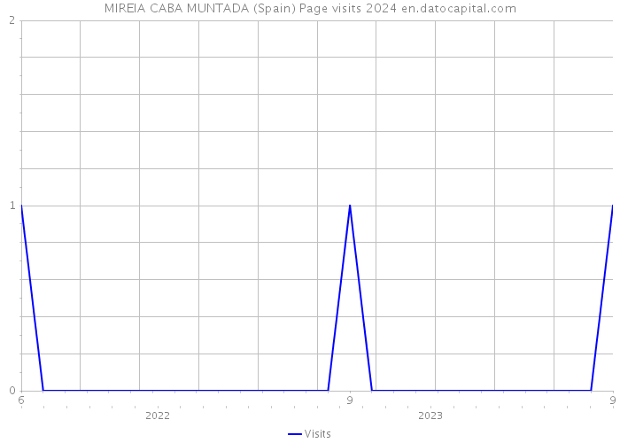 MIREIA CABA MUNTADA (Spain) Page visits 2024 