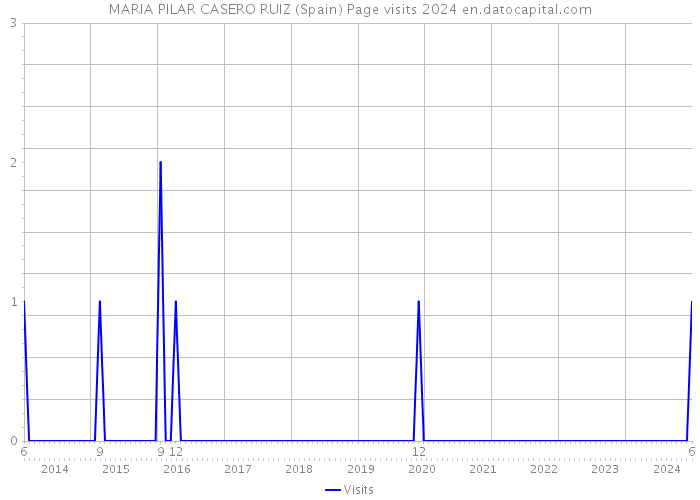 MARIA PILAR CASERO RUIZ (Spain) Page visits 2024 