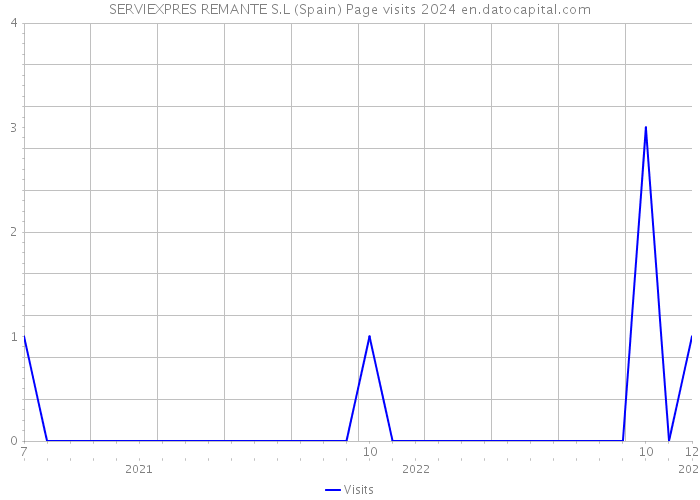SERVIEXPRES REMANTE S.L (Spain) Page visits 2024 