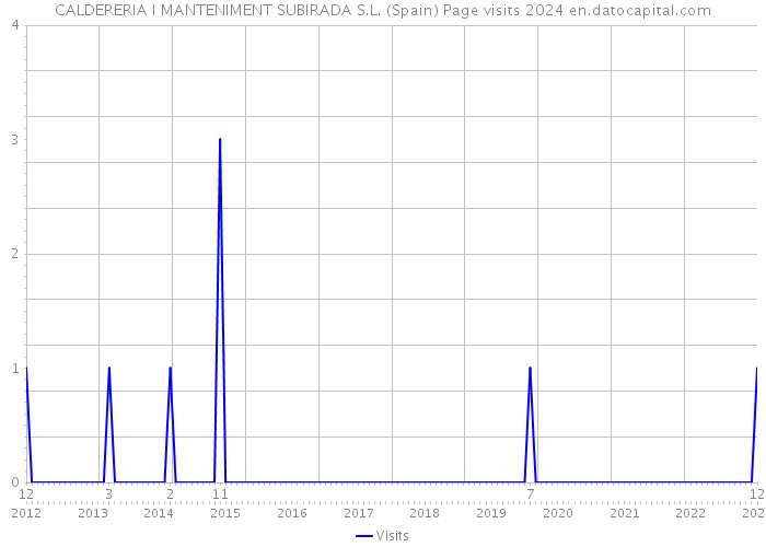 CALDERERIA I MANTENIMENT SUBIRADA S.L. (Spain) Page visits 2024 