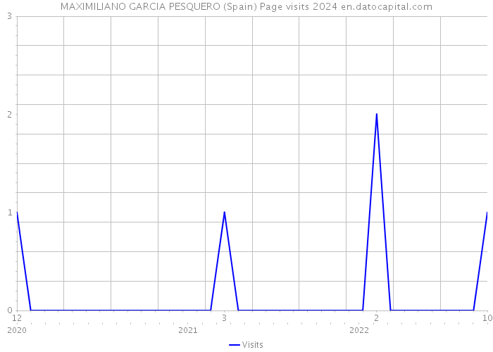 MAXIMILIANO GARCIA PESQUERO (Spain) Page visits 2024 