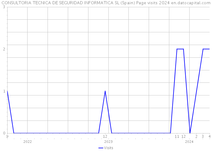 CONSULTORIA TECNICA DE SEGURIDAD INFORMATICA SL (Spain) Page visits 2024 