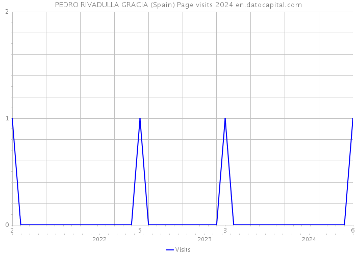 PEDRO RIVADULLA GRACIA (Spain) Page visits 2024 