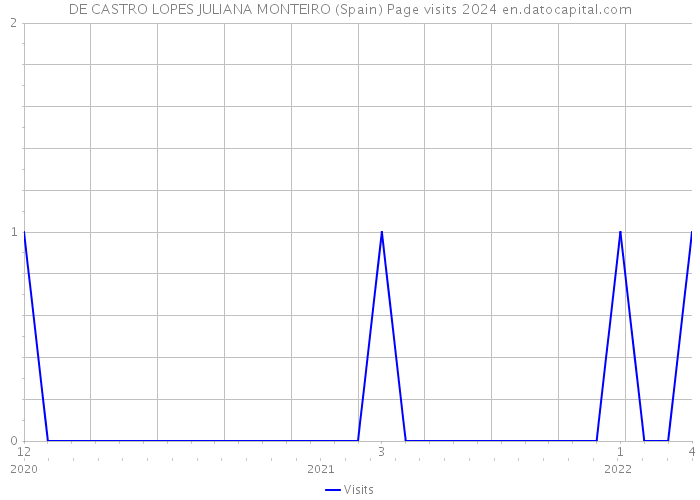 DE CASTRO LOPES JULIANA MONTEIRO (Spain) Page visits 2024 