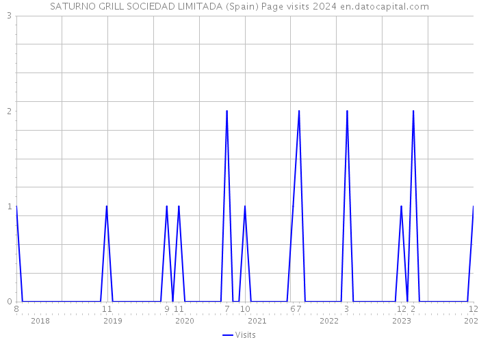 SATURNO GRILL SOCIEDAD LIMITADA (Spain) Page visits 2024 