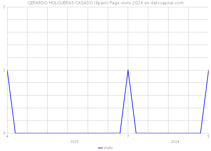 GERARDO HOLGUERAS CASADO (Spain) Page visits 2024 