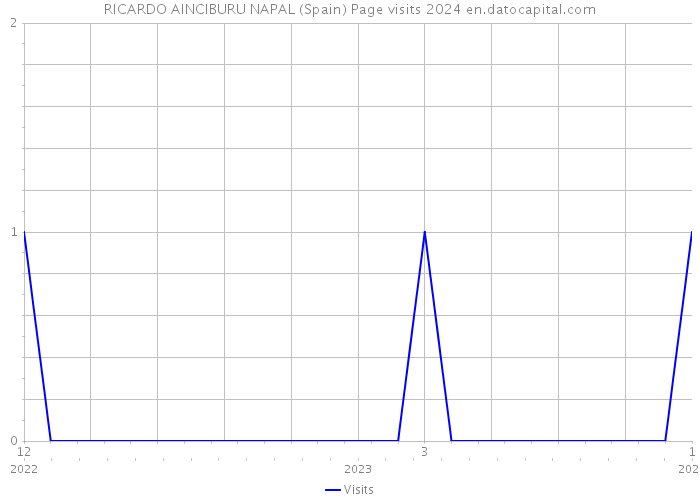 RICARDO AINCIBURU NAPAL (Spain) Page visits 2024 
