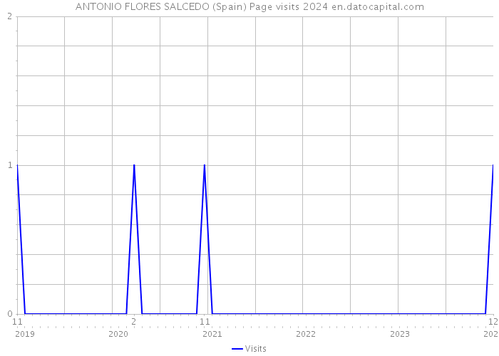 ANTONIO FLORES SALCEDO (Spain) Page visits 2024 