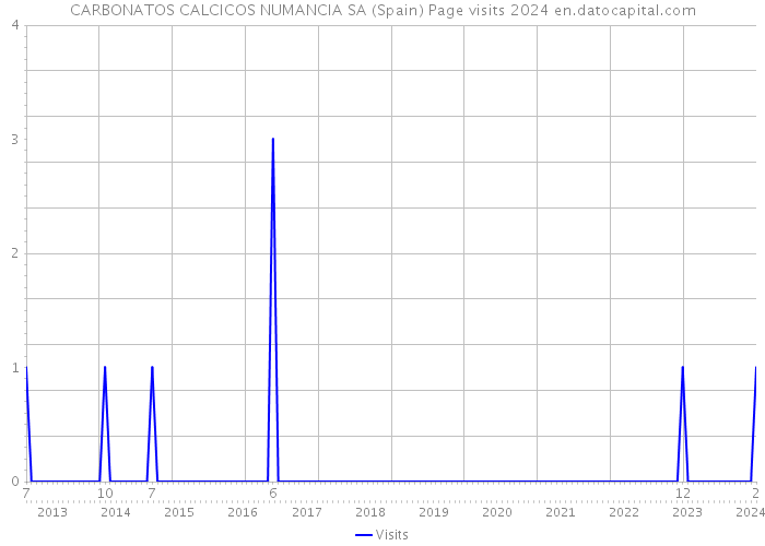 CARBONATOS CALCICOS NUMANCIA SA (Spain) Page visits 2024 