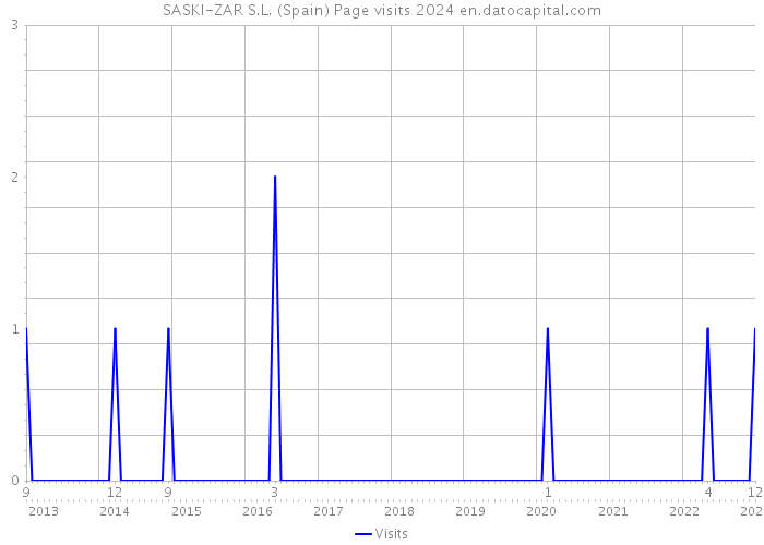 SASKI-ZAR S.L. (Spain) Page visits 2024 