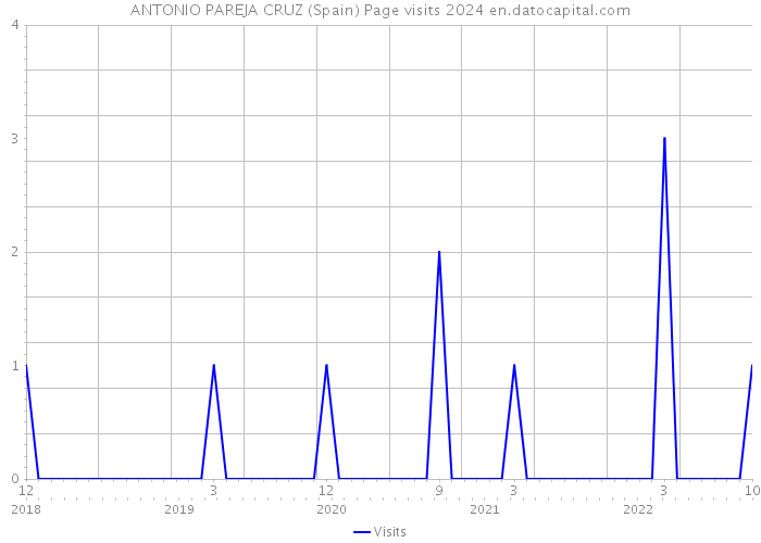 ANTONIO PAREJA CRUZ (Spain) Page visits 2024 
