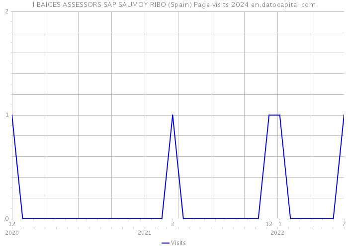 I BAIGES ASSESSORS SAP SAUMOY RIBO (Spain) Page visits 2024 