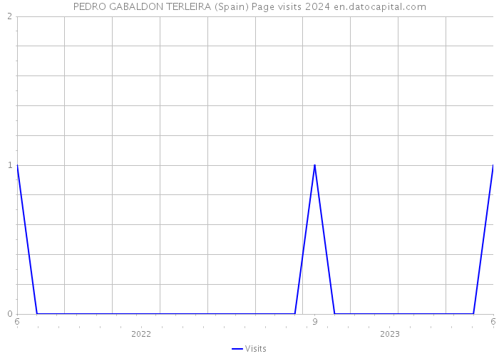 PEDRO GABALDON TERLEIRA (Spain) Page visits 2024 