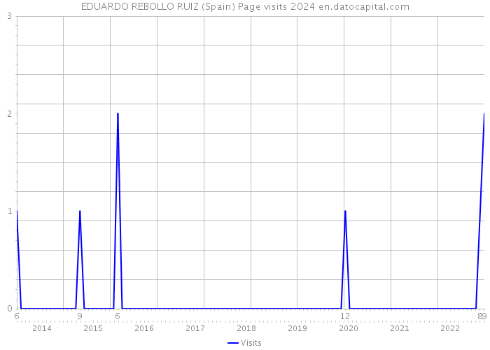 EDUARDO REBOLLO RUIZ (Spain) Page visits 2024 