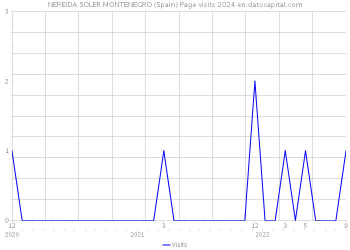 NEREIDA SOLER MONTENEGRO (Spain) Page visits 2024 