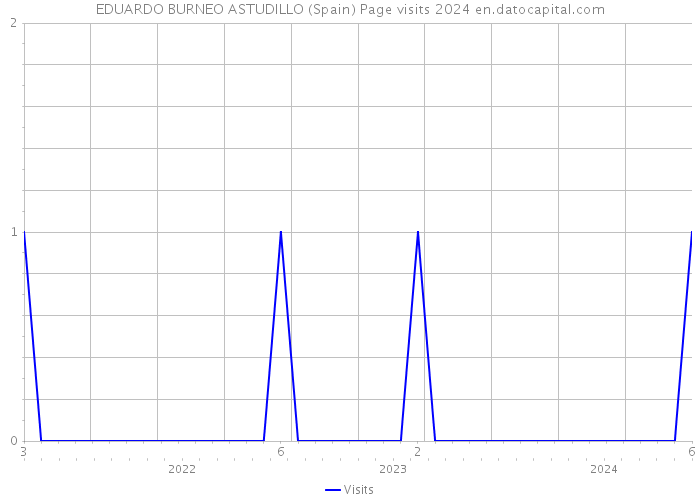 EDUARDO BURNEO ASTUDILLO (Spain) Page visits 2024 