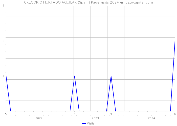 GREGORIO HURTADO AGUILAR (Spain) Page visits 2024 