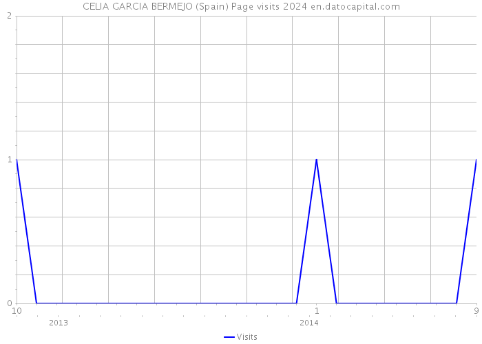 CELIA GARCIA BERMEJO (Spain) Page visits 2024 