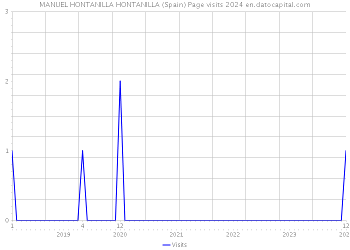 MANUEL HONTANILLA HONTANILLA (Spain) Page visits 2024 