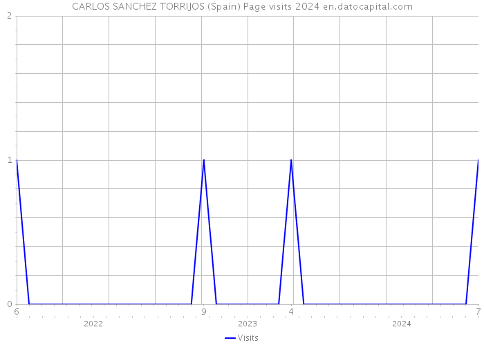 CARLOS SANCHEZ TORRIJOS (Spain) Page visits 2024 