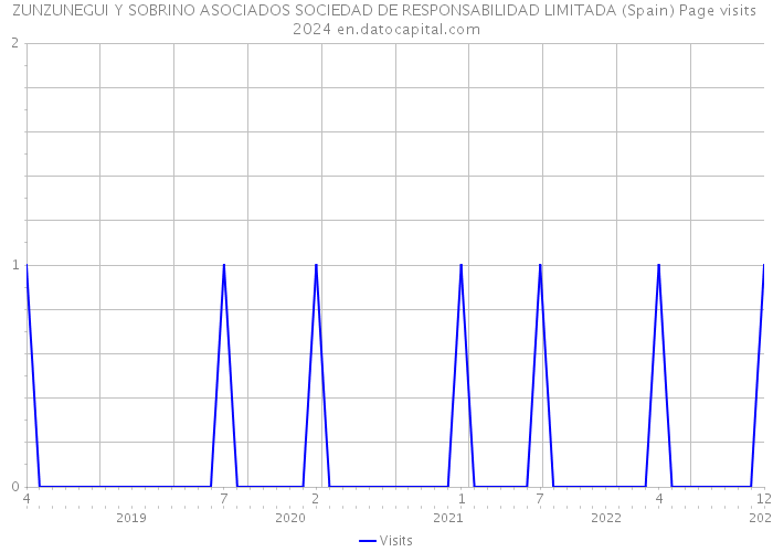ZUNZUNEGUI Y SOBRINO ASOCIADOS SOCIEDAD DE RESPONSABILIDAD LIMITADA (Spain) Page visits 2024 
